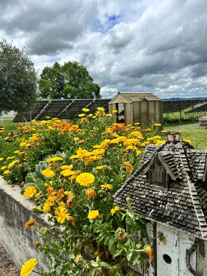 The Gables Wine Country Inn Santa Rosa Buitenkant foto